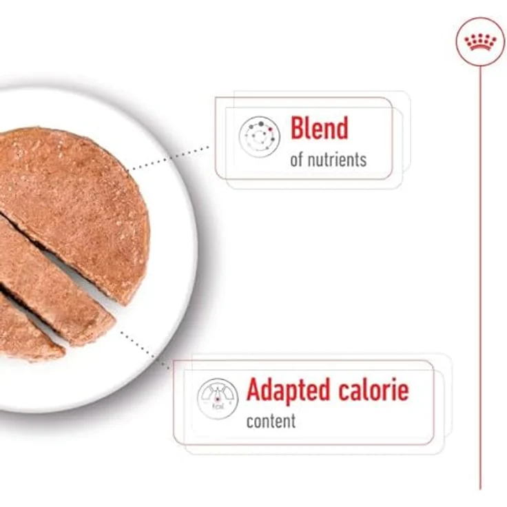 Royal Canin Mini Ageing 8+, 12 x 195 g, Alleinfuttermittel für kleine Senior Hunde bis 10 kg, Unterstützung für Gesundheit und Vitalität, nährstoffreiche Rezeptur mit Vitaminen und EPA & DHA – Bild 4