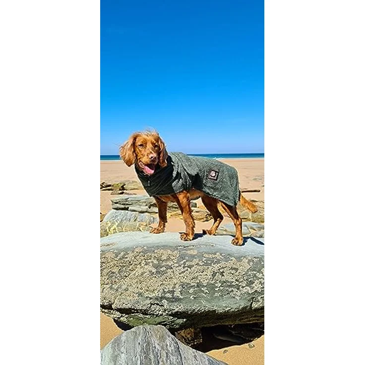 Danish Designs Frottee-Bademantel für Hunde, 30 cm, Grün, geeignet für alle Lebensstufen – Bild 2