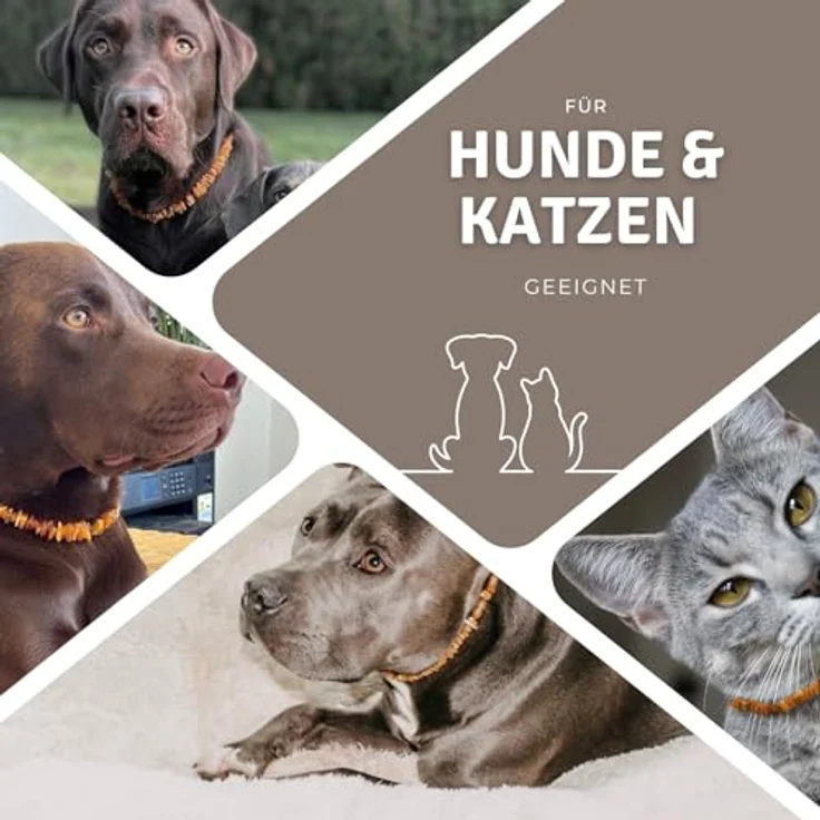 PetLove Bernsteinkette für Hunde und Katzen, 100% baltischer Bernstein, Länge: 50cm, handmade, stabil und flexibel – Bild 3