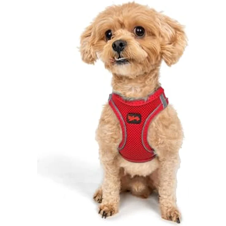 Tailpetz Air-Mesh Brustgeschirr für kleine und mittelgroße Katzen und Hunde – Weich, Atmungsaktiv, Strapazierfähig, Leuchtendrot, 2XS (Brustumfang 30,5–33 cm) – Bild 1