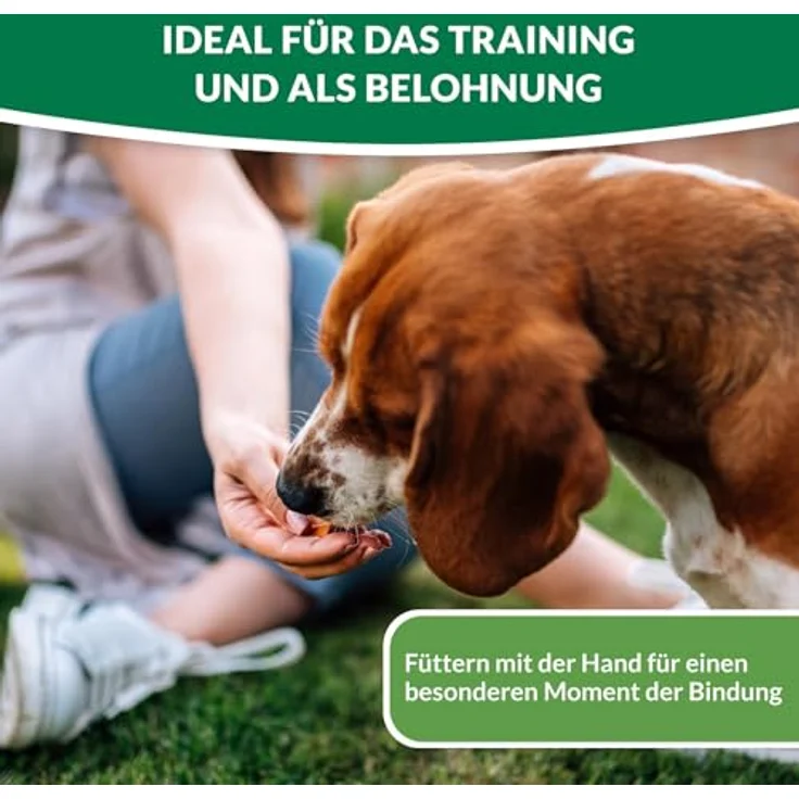 INABA Churu Bites, Hundeleckerli mit Huhn, getreidefrei, zuckerfrei, 192 g für kleine und Seniorhunde, weiche Häppchen mit doppelter Textur – Bild 4