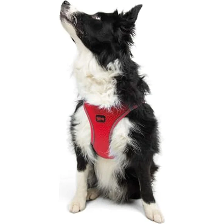 Tailpetz Air-Mesh Brustgeschirr für kleine und mittelgroße Katzen und Hunde – Weich, Atmungsaktiv, Strapazierfähig, Leuchtendrot, XL (Brustumfang 66–70cm) – Bild 1