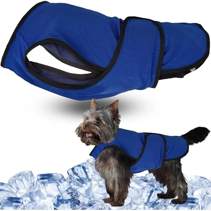 Lautus Pets Hundekühlweste, Leichte Jacke für Kleine Hunde mit Reißverschluss, Ideal für Spaziergänge und Draußen, Schwarz – Bild 1