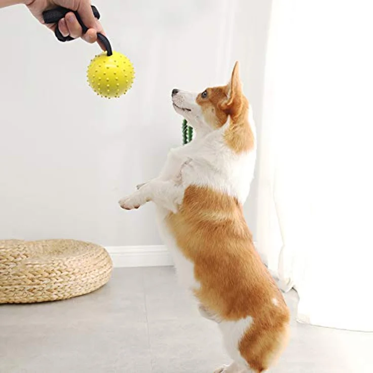 Vivifying Hundeball auf einem Seil, 2 Stück Interaktiver Naturkautschuk Ball für Hunde, Zahnreinigungsball, Floral + Gelb – Bild 4