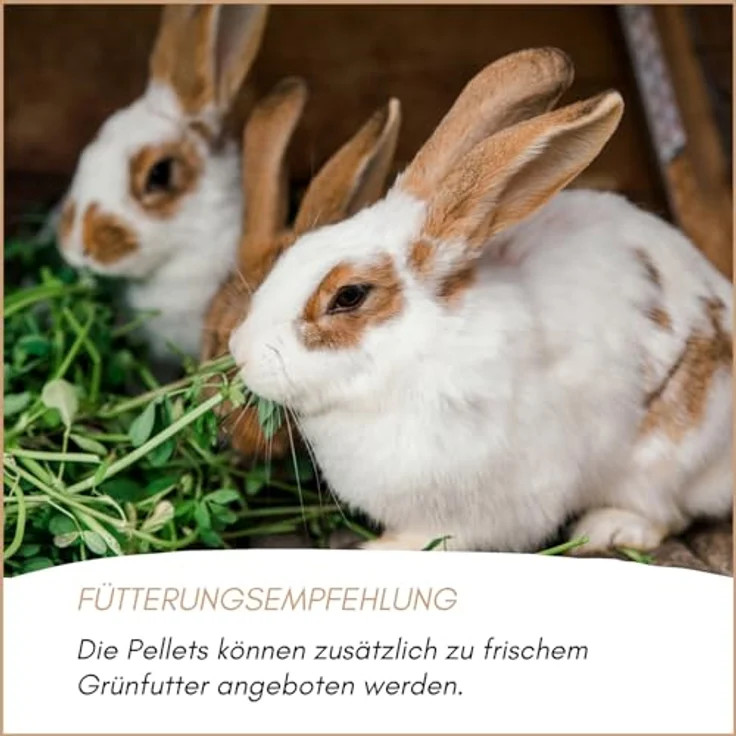 Supravit Hasenfutter & Kaninchenfutter 5kg, Alleinfutter für Zwergkaninchen, Kaninchen & Hasen, ideal als Zucht- und Aufzuchtfutter, mit wichtigen Nährstoffen für ein gesundes Leben – Bild 5