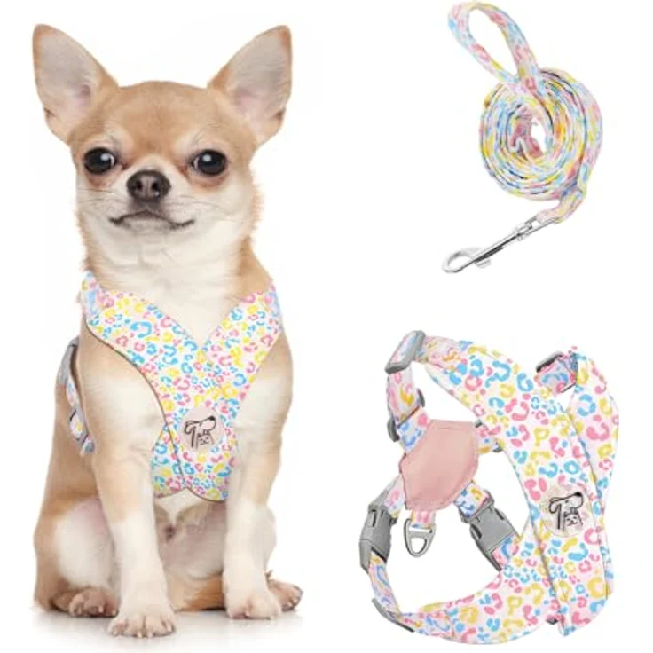 Pawaboo Kleines Hundegeschirr und Leine Set, verstellbar, No Pull, X-Rahmen, mit D-Ring, atmungsaktiv, für kleine und mittelgroße Hunde – Bild 1