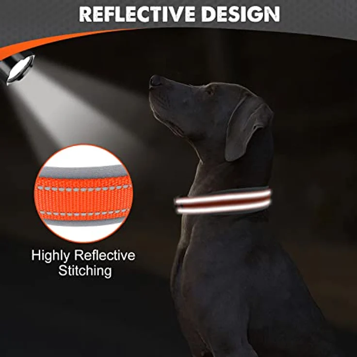 Joytale Halsband Hund, Gepolstert aus Neopren für Große Hunde, Nylon Reflektierend, Orange, mit D-Ring und Anhängerschlaufe – Bild 4