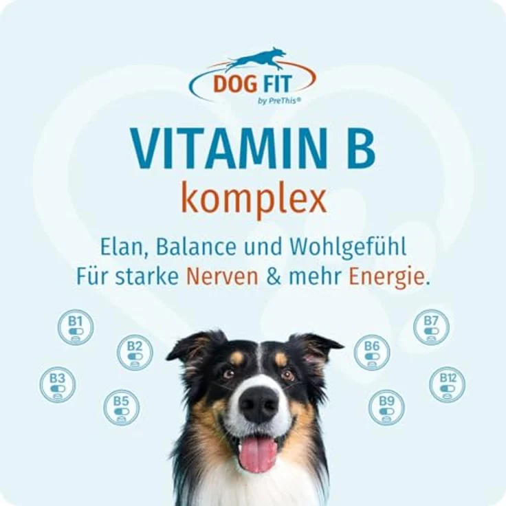 DOG FIT by PreThis® Vitamin B Komplex für Hunde, mit aktivem B12 (Methylcobalamin), vegan & ohne Zusätze, für normale Nervenfunktion, Energie & Vitalität, geeignet für Hunde bis 10kg, 60 Kapseln – Bild 2