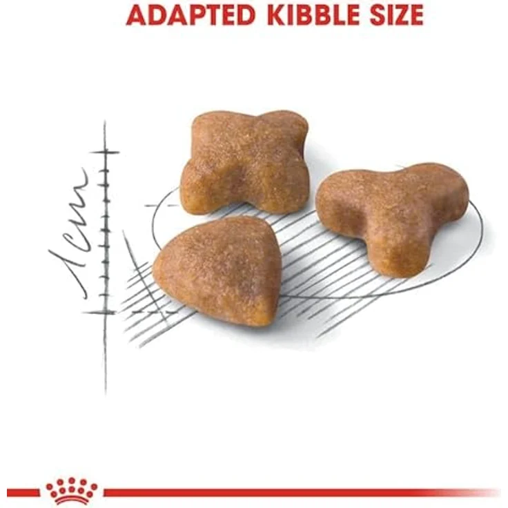 Royal Canin Regular Sensible 33, Trockenfutter für ausgewachsene Katzen, Unterstützung der Verdauung, Doppelpack 2 x 400 g, hohe Energiedichte – Bild 4