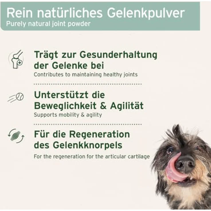 AniForte Grünlippmuschelpulver 1 kg, hochwertiges Ergänzungsfuttermittel für Hunde und Katzen zur Unterstützung der Gelenkgesundheit, getreidefrei – Bild 3