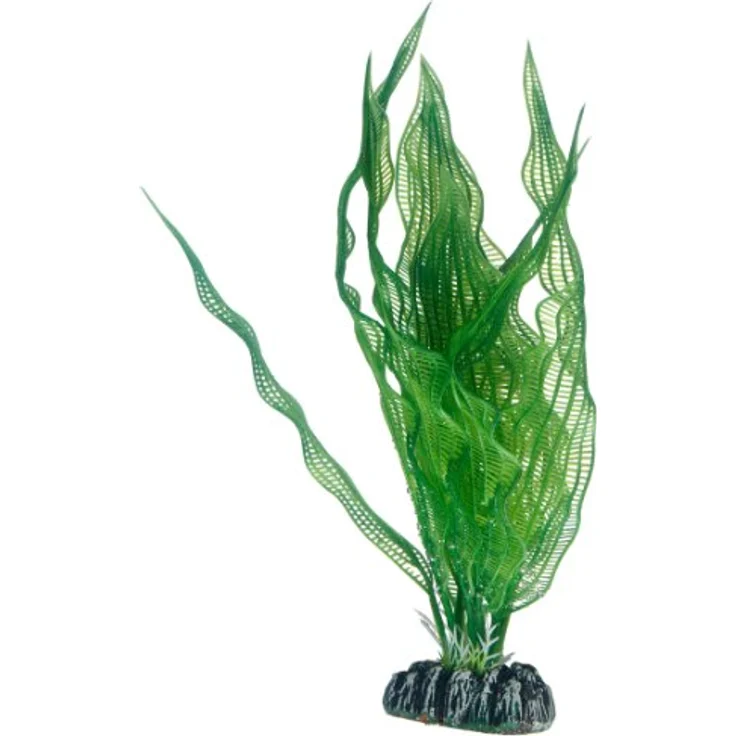 HOBBY Aquariendeko Aponogeton 25 cm, künstliche Aquariumpflanze mit täuschend echtem Design und stabilem Felsenboden – Bild 1