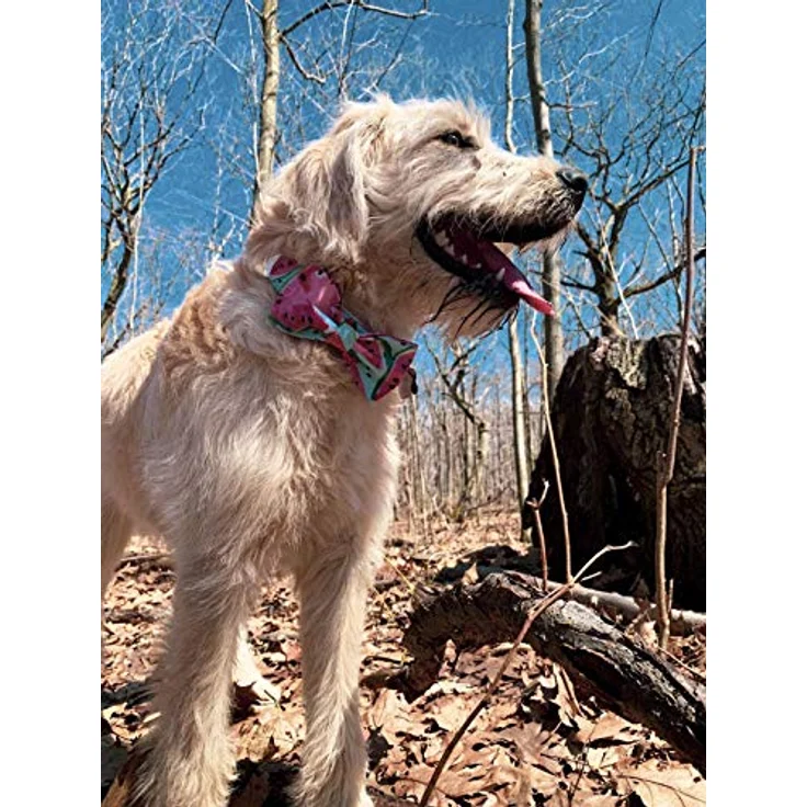Unique Style Paws Hundehalsband mit Fliege, verstellbar für Hunde und Katzen, 40,64 cm - 60 cm, hochwertiger Baumwollstoff, eleganter D-Ring – Bild 5