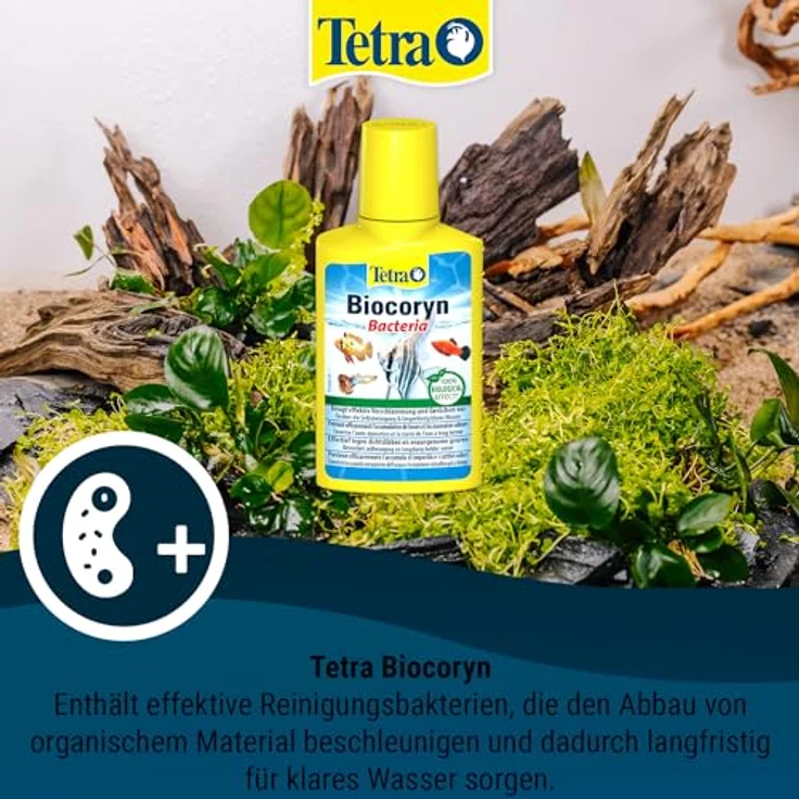 Tetra Biocoryn Wasseraufbereitungsmittel, biologischer Abbau von Schadstoffen, 100 ml – Bild 3
