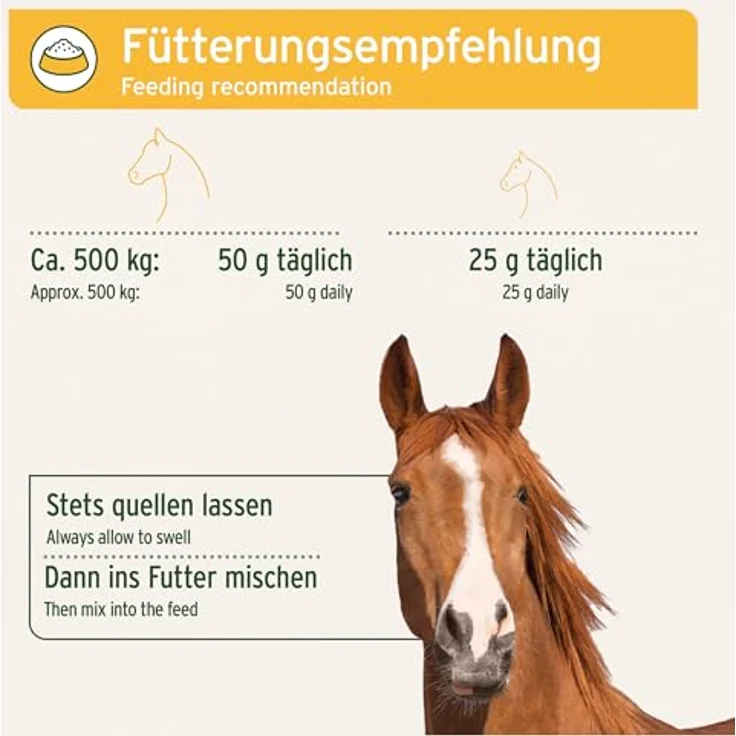 AniForte Flohsamen für Pferde 3kg, Rohkost-Qualität, reich an Ballaststoffen & Schleimstoffen, zur Reinigung des Magen-Darm-Trakts – Bild 4