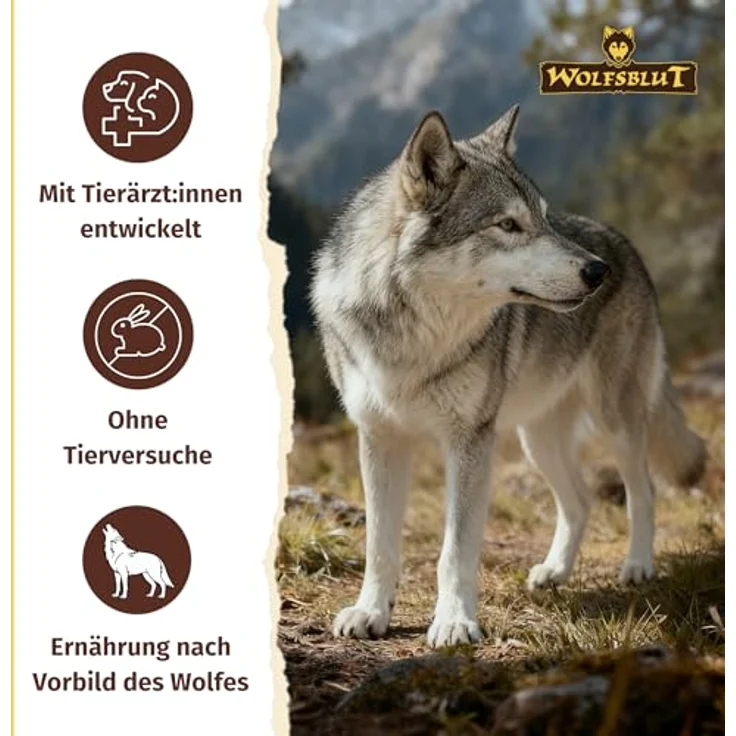 Wolfsblut VetLine Hypoallergenic Pferd, Nassfutter für Hunde bei Futtermittelallergien, 6 x 395g – Bild 5