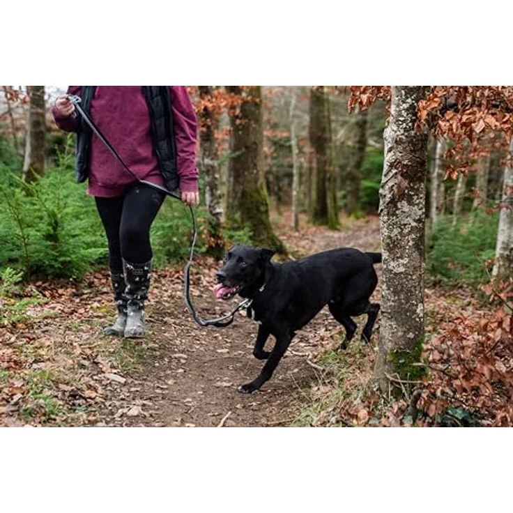 Mountain Paws Laufleine für Hunde, Hand- oder Taillenmontage mit stoßdämpfendem Gurtband, 1,4 m, Neopren-Griff – Bild 5