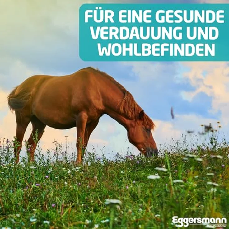 Eggersmann Mein Pferdefutter Vitalize Gastro Plus E, 20 kg getreidefreies Pferdefutter für magenempfindliche Pferde, mit Magnesium für Muskulatur und Nerven, ballaststoffreich und gut verdaulich – Bild 4