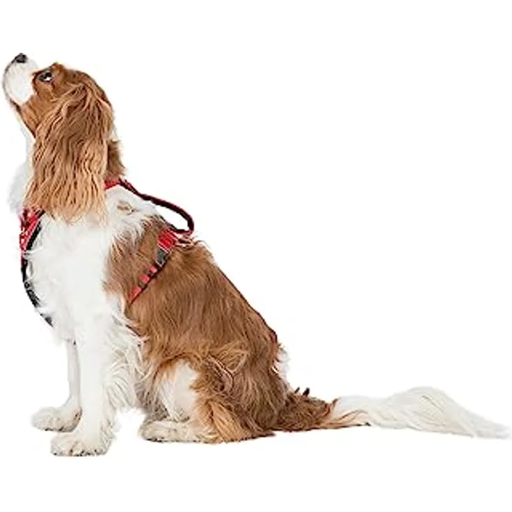 Trespass Trespaws Hunde-Halsband, strapazierfähig und ergonomisch, rot