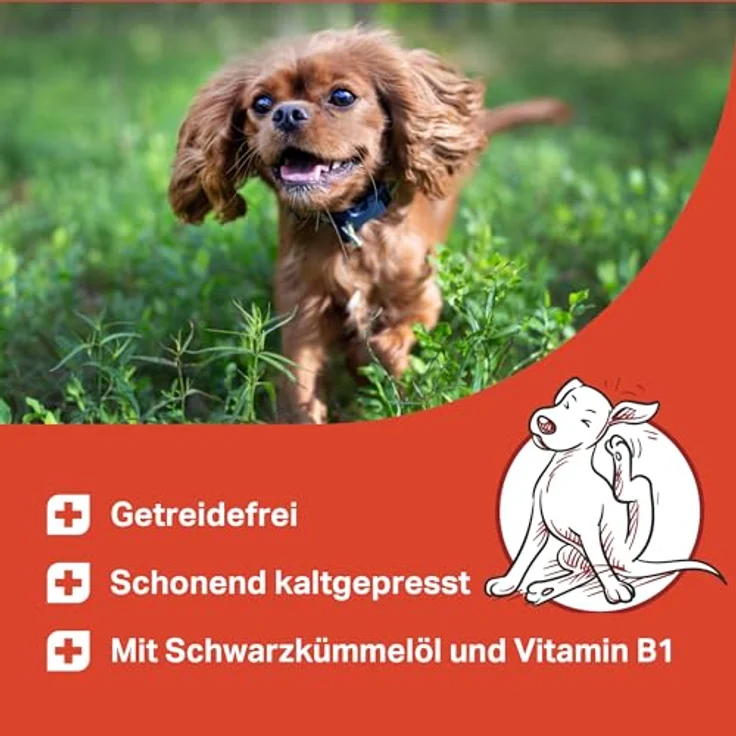 MEDIDOG Zeggi Weggi Premium Drops für Hunde – 400 g – mit Schwarzkümmelöl, Zistrose, Kokosöl und Lammprotein – hypoallergen, stärkt Hautabwehrkräfte – Bild 2