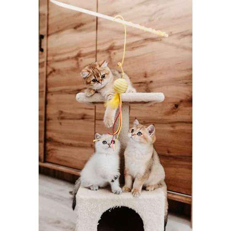 Josera Paté Kitten, Katzen-Nassfutter, 16x85g, vielfältige Geschmackssorten – Bild 6