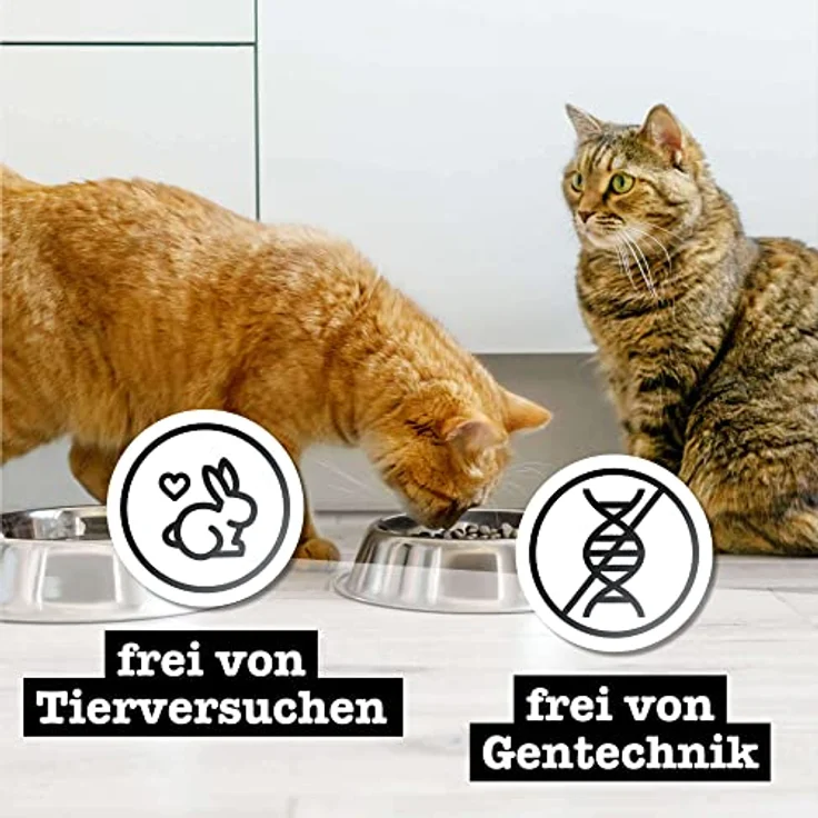 Catz Finefood Purrrr Dose 6 x 400 g - No. 103 Huhn, Getreidefreies Katzen-Nassfutter mit hohem Fleischanteil und einziger Proteinquelle – Bild 8