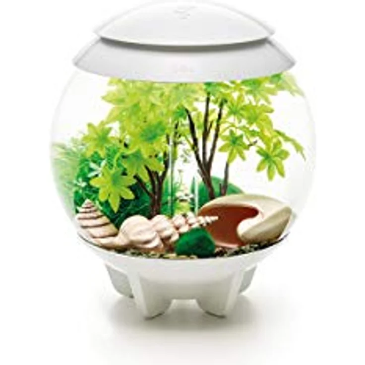 biOrb Decor Set 15L Sommer (55026) – Bild 5