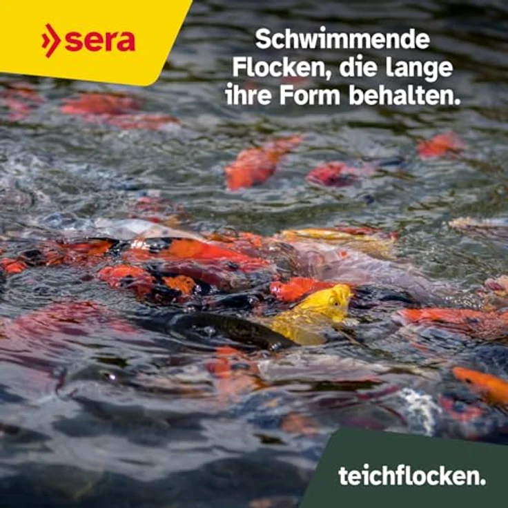 sera Pond Flakes 3,8 L (560g), Hauptfutter für Teichfische ohne Farb- & Konservierungsstoffe, fördert Gesundheit & Wachstum, ideal für Goldfische, Bitterlinge & Jungfische, für sauberes Teichwasser – Bild 5