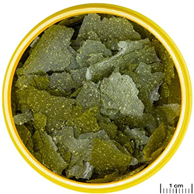 JBL PRONOVO SPIRULINA FLAKES, Fischfutter-Flocken für Aquarienfische von 8-20 cm, Größe M, 250 ml, hohe Akzeptanz mit naturbelassenen Rohstoffen – Bild 3