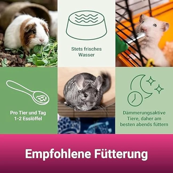 PANTO Chinchillafutter 25kg, ballaststoffreiches Alleinfutter mit Luzernegrünmehl & Omega-3, für gesunde Chinchillas – Bild 4