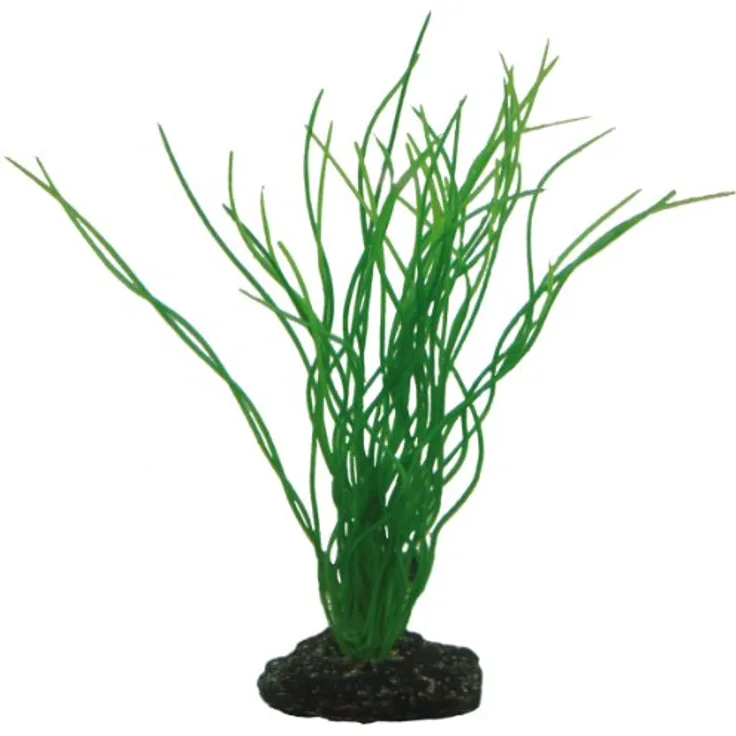 HOBBY Aquariendeko Sagittaria, 20 cm künstliche Aquarienpflanze mit natürlicher Bewegung und stabilem Halt im Bodengrund