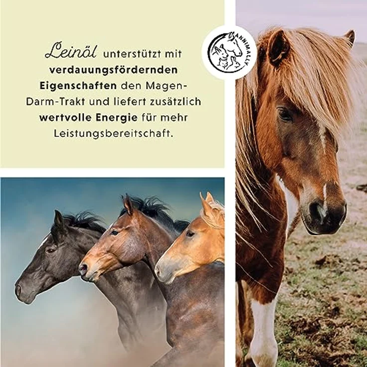 Annimally Premium Leinöl für Pferde & Hunde, 5l Kanister, kaltgepresst, reich an Omega 3 Fettsäuren, 100% natürlich, hergestellt in Deutschland – Bild 3