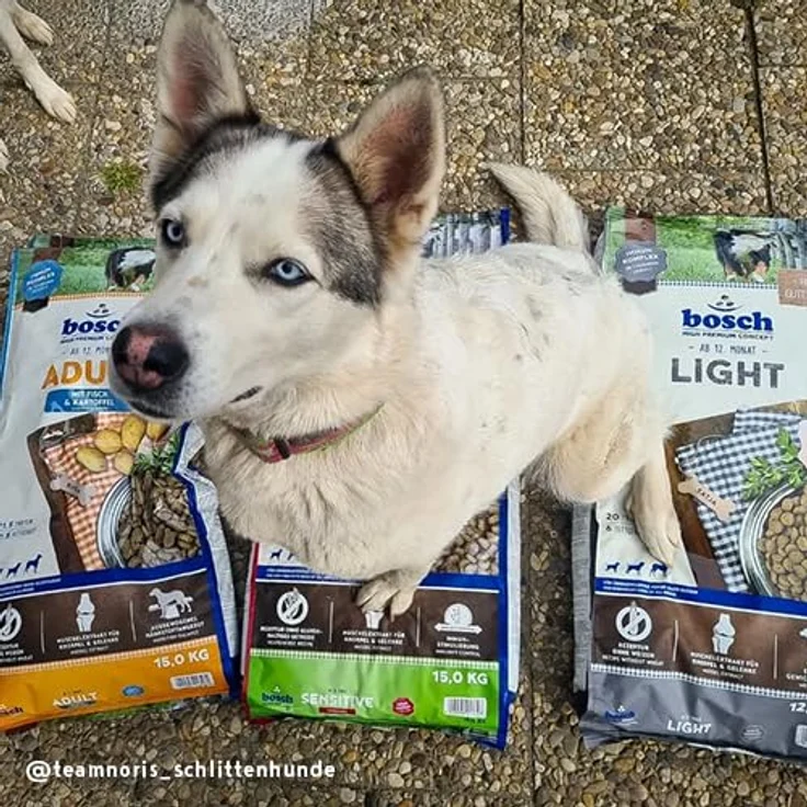 Bosch Light Hundefutter, Trockenfutter mit 6% Fett und 7% Rohfaser, 12,5 kg – Bild 5