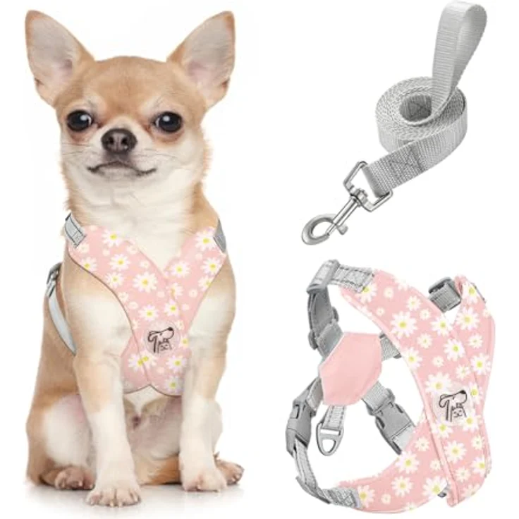Pawaboo Hundegeschirr mit Hundeleine Set, Anti-Zug X-Rahmen Brustgeschirr für kleine und mittelgroße Hunde, verstellbar, rosa Gänseblume – Bild 1
