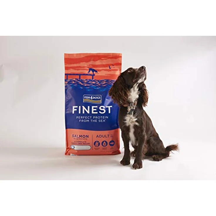 Fish4Dogs Canine Adult Regular Lachs, 12 kg Fischfutter für ausgewachsene Hunde – Bild 4