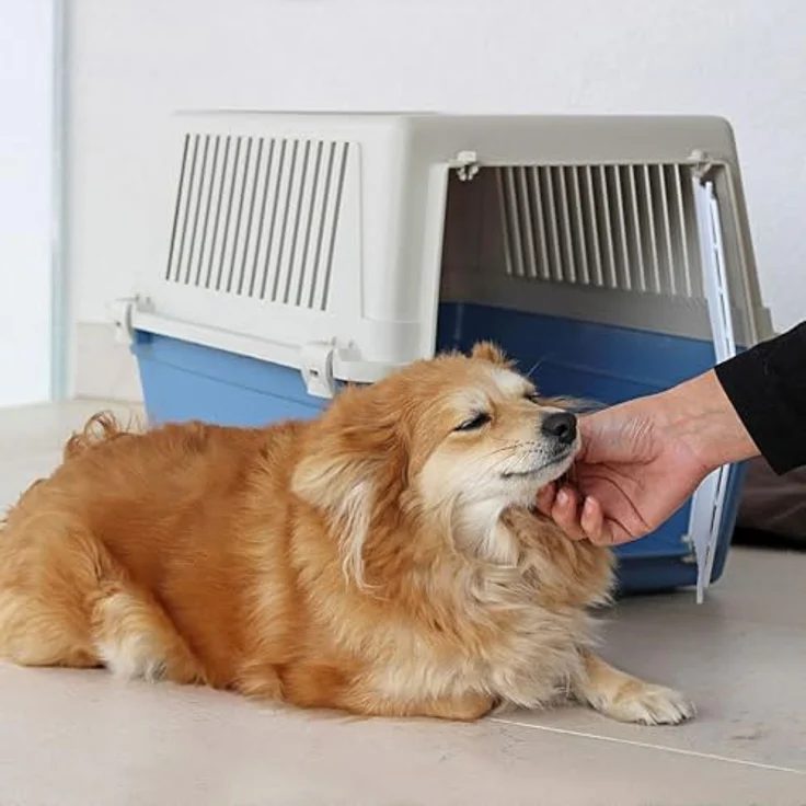Ferplast ATLAS 30 EL, Katzentransportbox und Hundetransportbox bis 15 kg, mit plastifizierter Eisentür und Lüftungsschlitzen, 40x60xH 38 cm, blau – Bild 2