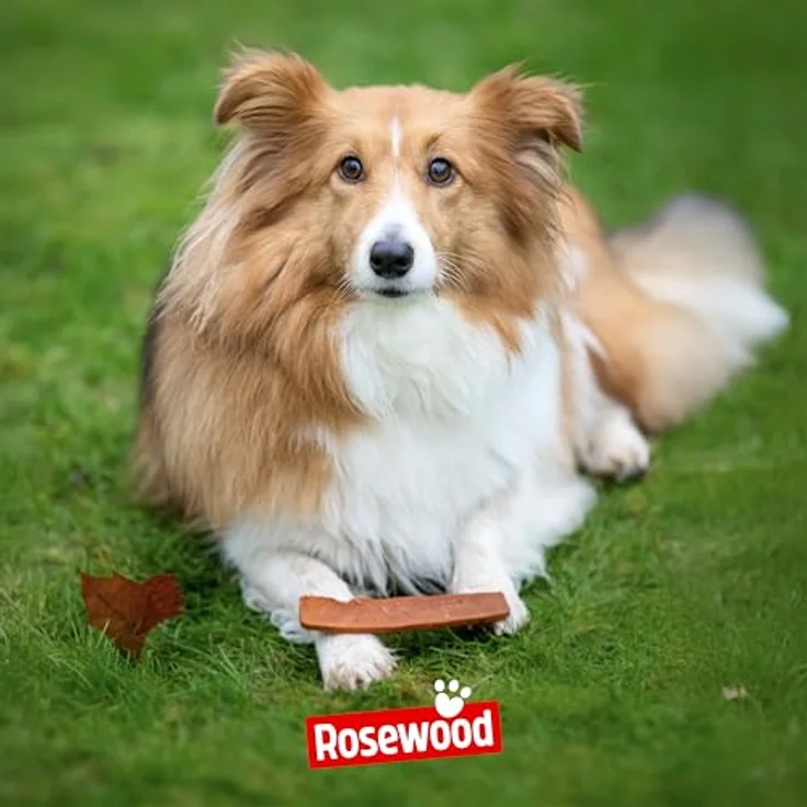 Rosewood Salmon Fillet Strips Large, Weicher Hundesnack mit 97% Lachs, proteinreich und fettarm, ohne Getreide und Gluten, 8er Pack (8x150 g) – Bild 4