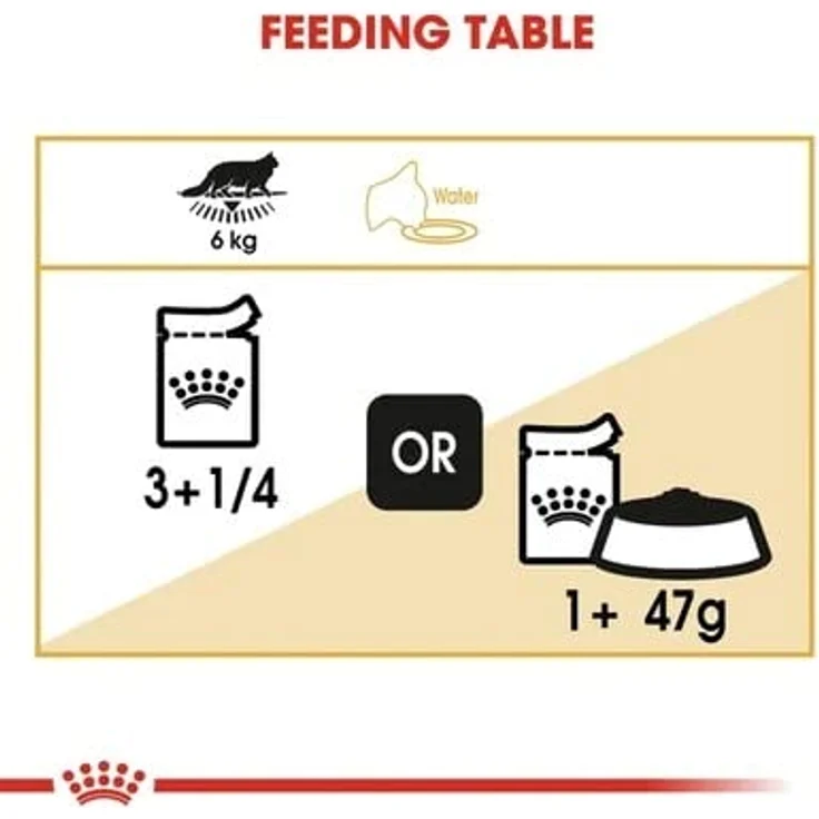 Royal Canin Maine Coon Adult, Nassfutter für Katzen, 12x85g, speziell abgestimmt auf die Ernährungsbedürfnisse von Maine Coons – Bild 6