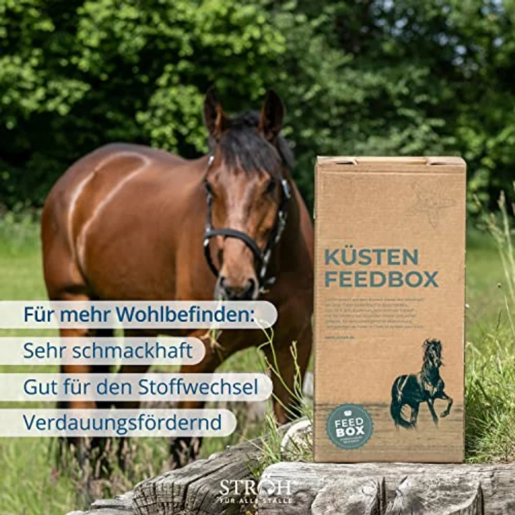STRÖH Horse Mash Pferd (27kg Feedbox) • Ergänzungsfutter für gesundes Fell, Verdauung & Stoffwechsel • Staubfrei mit Bierhefe, Kieselgur & Leinsamen – Bild 4