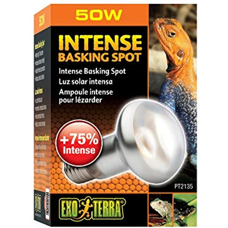 Exo Terra Intense Basking Spot, Wärmespotlampe, 50W, E27, Gelb, für Terrarienbeleuchtung – Bild 2