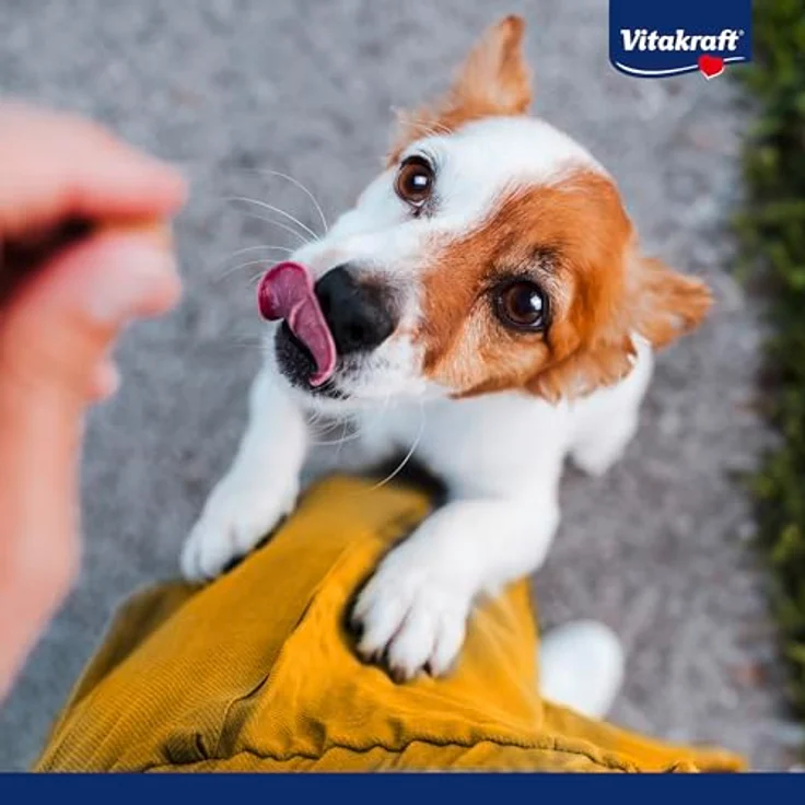 Vitakraft Pure Duck Bonas Sticks XXL, getreidefreier Hundesnack mit Entenfleisch, 200g – Bild 5