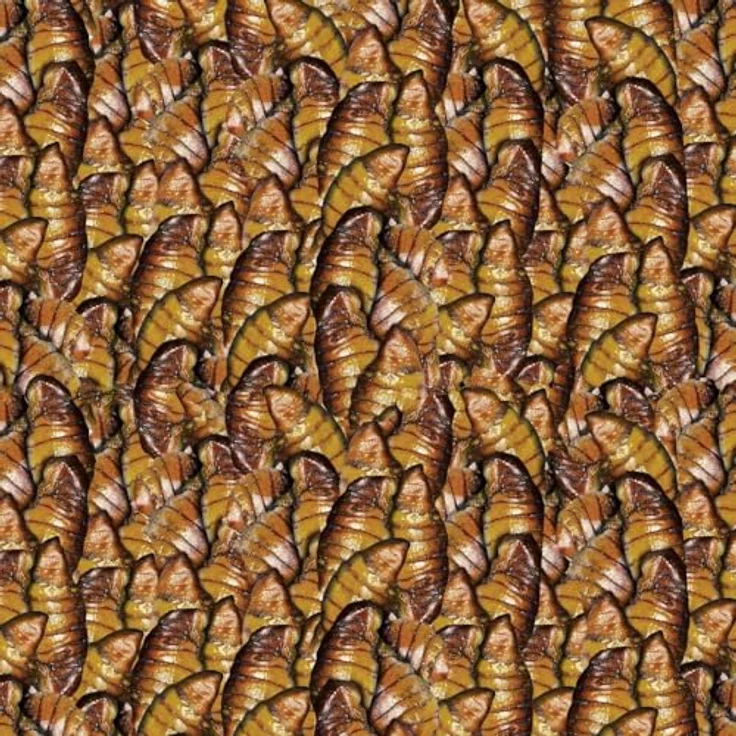 sera Koi Silkworm Nature 1000 ml, Hauptfutter für Koi ab 15 °C, natürlicher Leckerbissen Seidenraupen – Bild 3