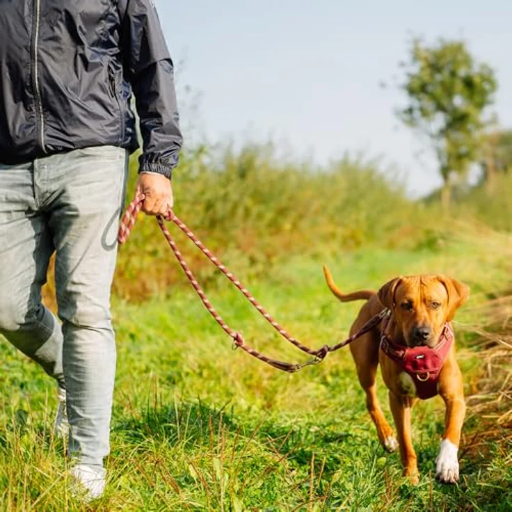 Nobby 52056-01 Geschirr Sporty, stabiles Hundegeschirr in Rot mit ergonomischer Passform, Größe L (Hals: 42-60 cm, Brust: 58-85 cm) und 3 Verschlüssen – Bild 3