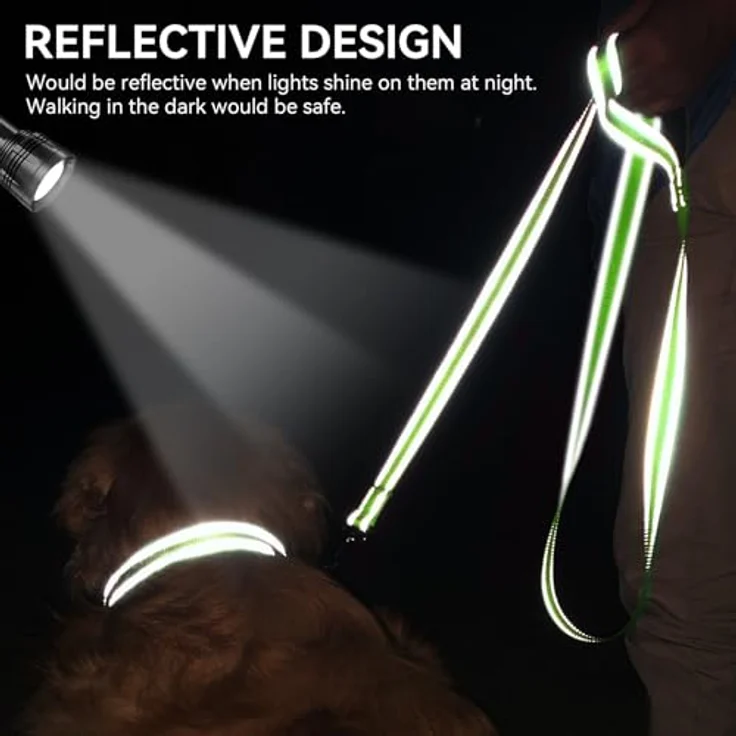 Joytale Hundeleine für Große und Mittelgroße Hunde, Doppelseitig Reflektierende Nylonleine mit Gepolstertem Griff, 1,8m x 2,5cm, Grün – Bild 4