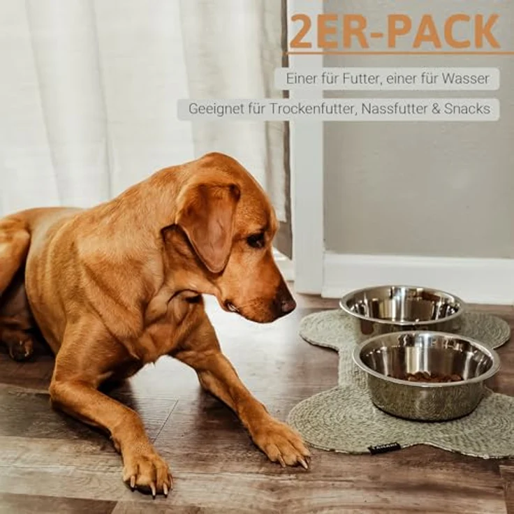 PEGGY11 Hundenapf Edelstahl, 2er Set mit rutschfestem Silikonboden, 1920 ml für große Hunde - Fressnapf & Wassernapf – Bild 5