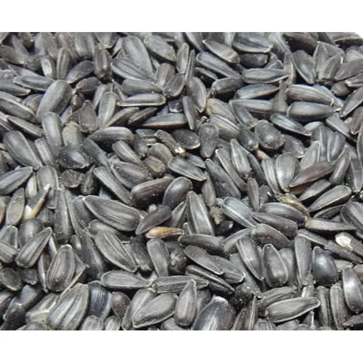 Bird`s Garden Sonnenblumenkerne schwarz, 10 kg Vogelfutter für Winterfütterung