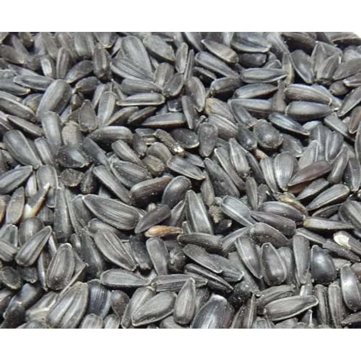 Bird`s Garden Sonnenblumenkerne schwarz, 10 kg Vogelfutter für Winterfütterung – Bild 1