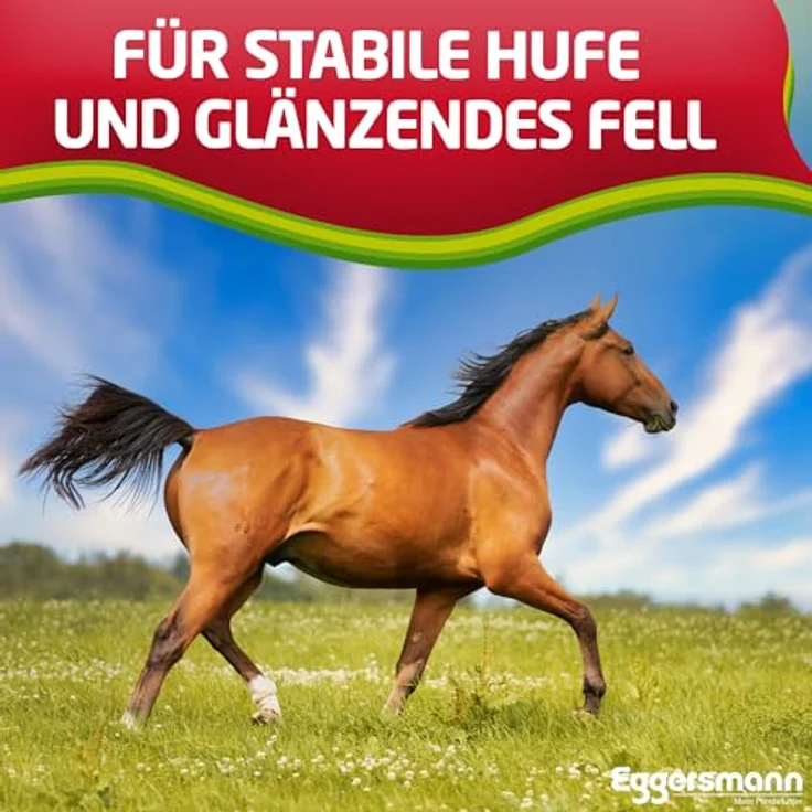 Eggersmann Mein Pferdefutter Profi Biotin Plus 4 kg – Ergänzungsfuttermittel mit Biotin & Zink zur Unterstützung von Haut, Fell & Hufen – Für gesunde Hufe und Hautpflege – Bild 4