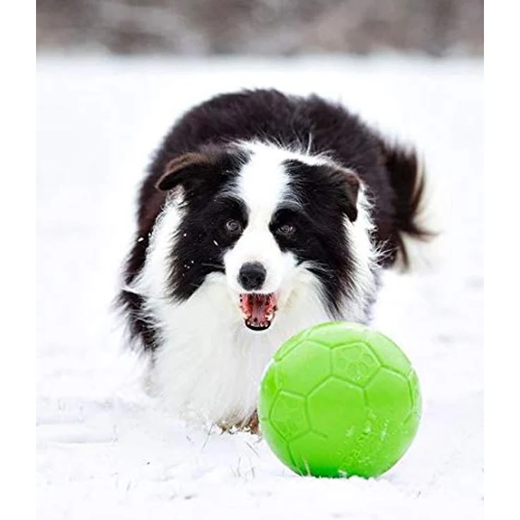 Jolly Pets Jolly Soccer Ball Grün L (20 cm), bissfestes Ballspielzeug für Hunde, schwimmfähig, mit Apfelduft – Bild 2