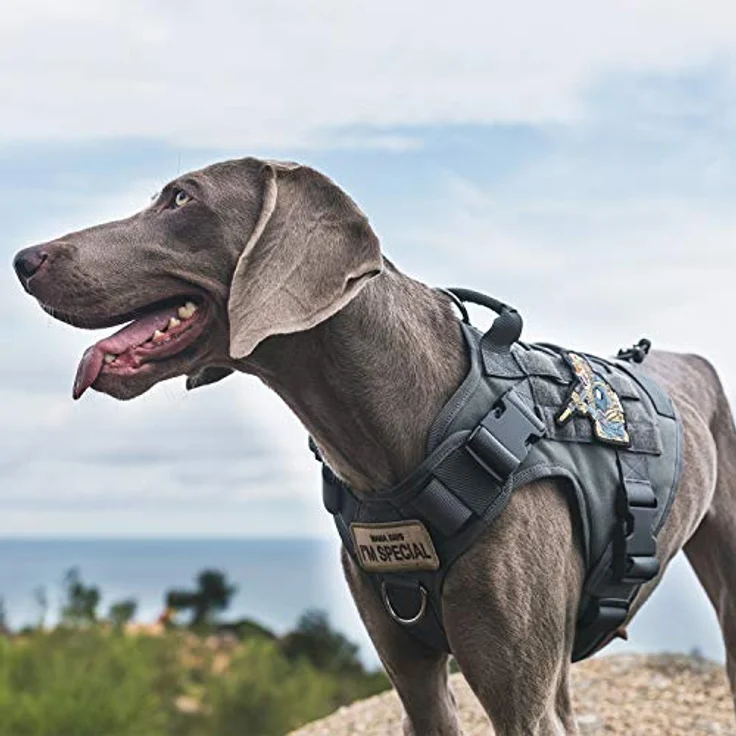OneTigris FIRE WATCHER Hundegeschirr, Taktische Hundeweste aus 1000D Nylon mit 1 Griff, 2 D-Ringen, verstellbar, Grau (L) – Bild 4
