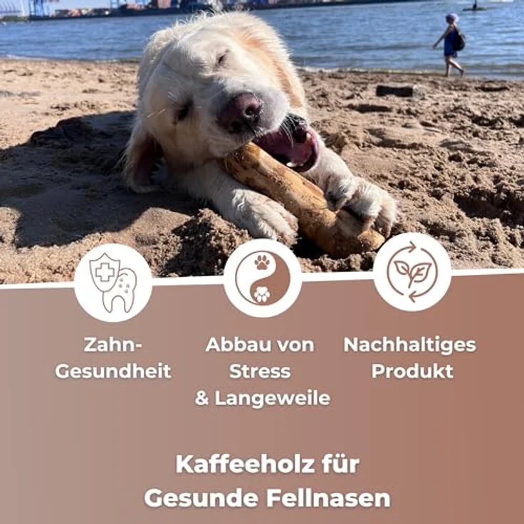 Zoys® Kaffeeholz für Hunde, Natürlicher Kauknochen L, 3 Stück – langlebig, splitterarm, fördert Zahngesundheit & Beschäftigung – Bild 4